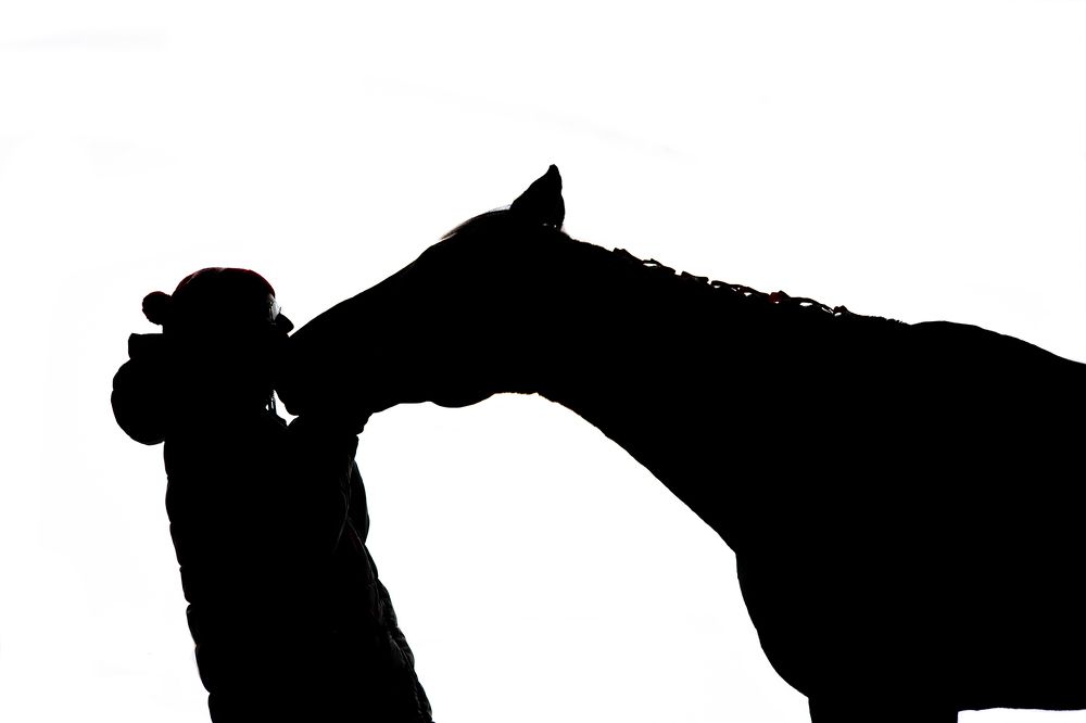 Photograph by Полина Фрольцова