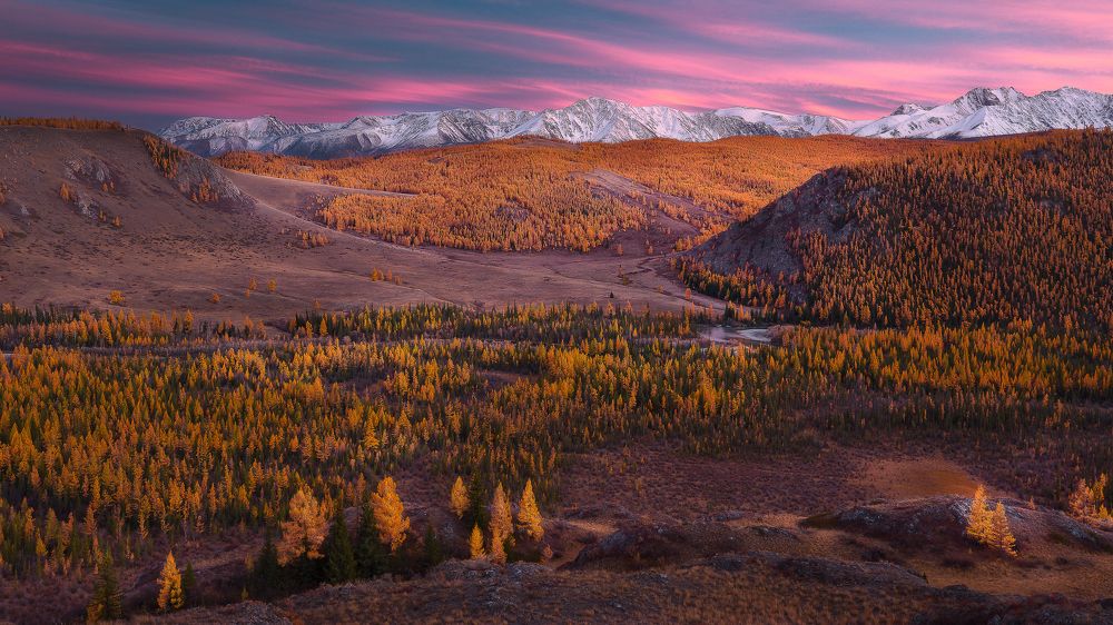 Photograph by Андреев Сергей