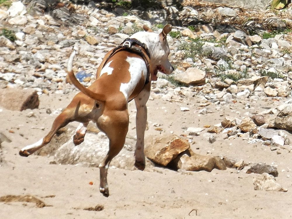 Photograph by Patrícia cruz