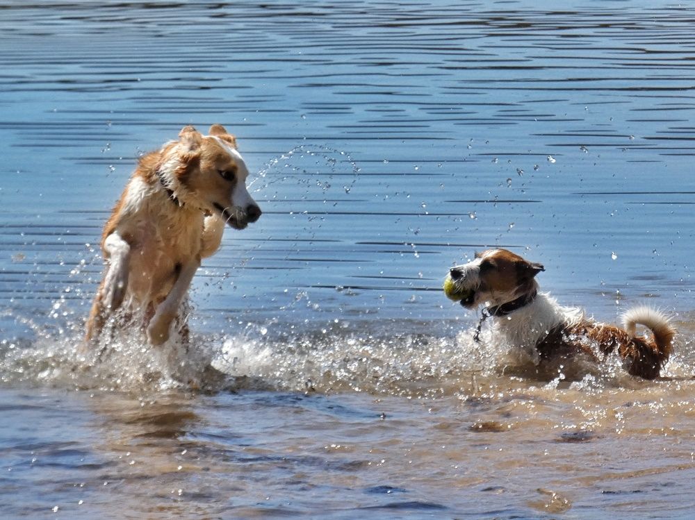 Photograph by Patrícia cruz