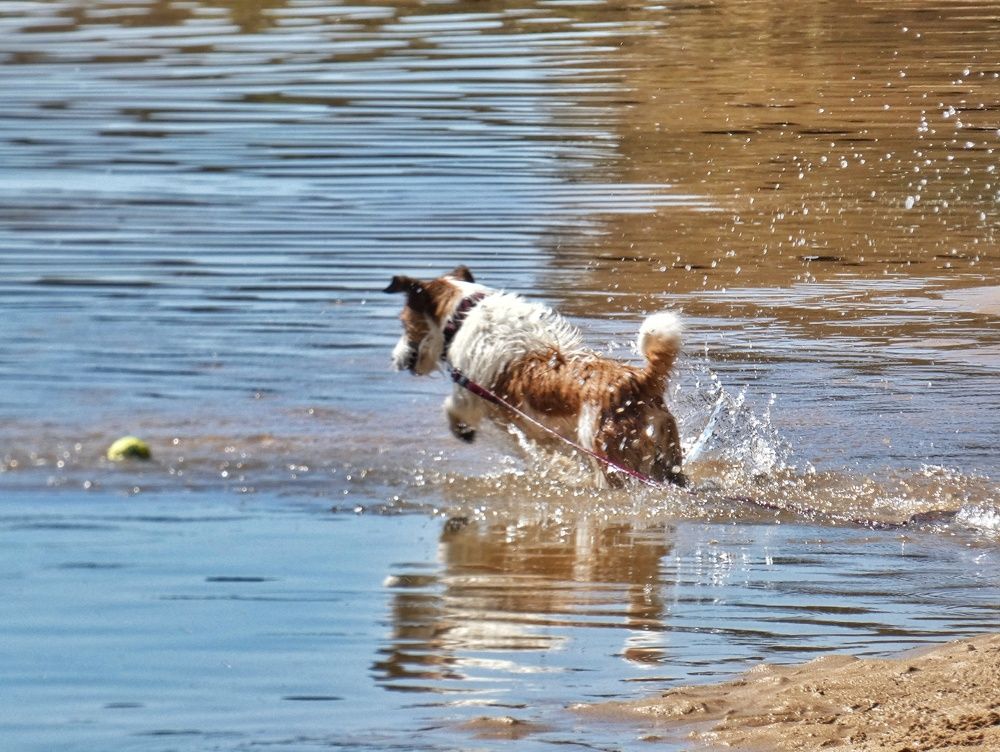 Photograph by Patrícia cruz