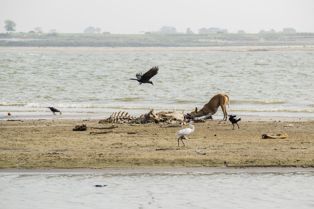 Photograph by shashiranjan prakash