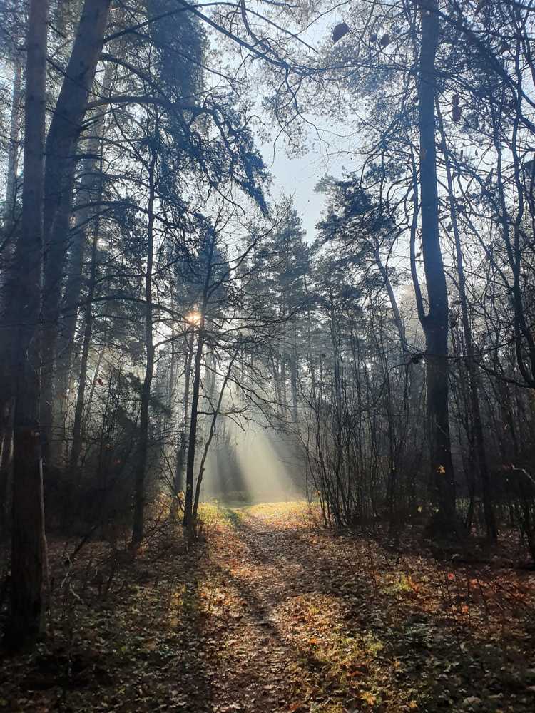 Photograph by Дарья Клименко