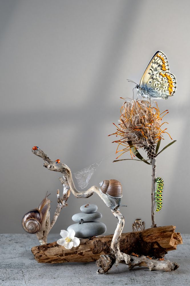 Photograph by Cristina Perciuleac