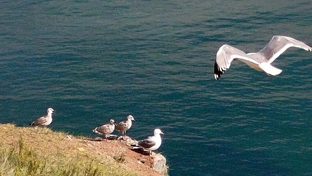 Photograph by Хиус