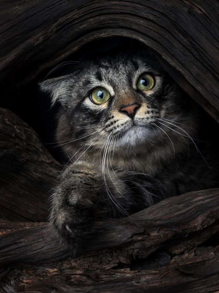 Не лезь ко мне.....