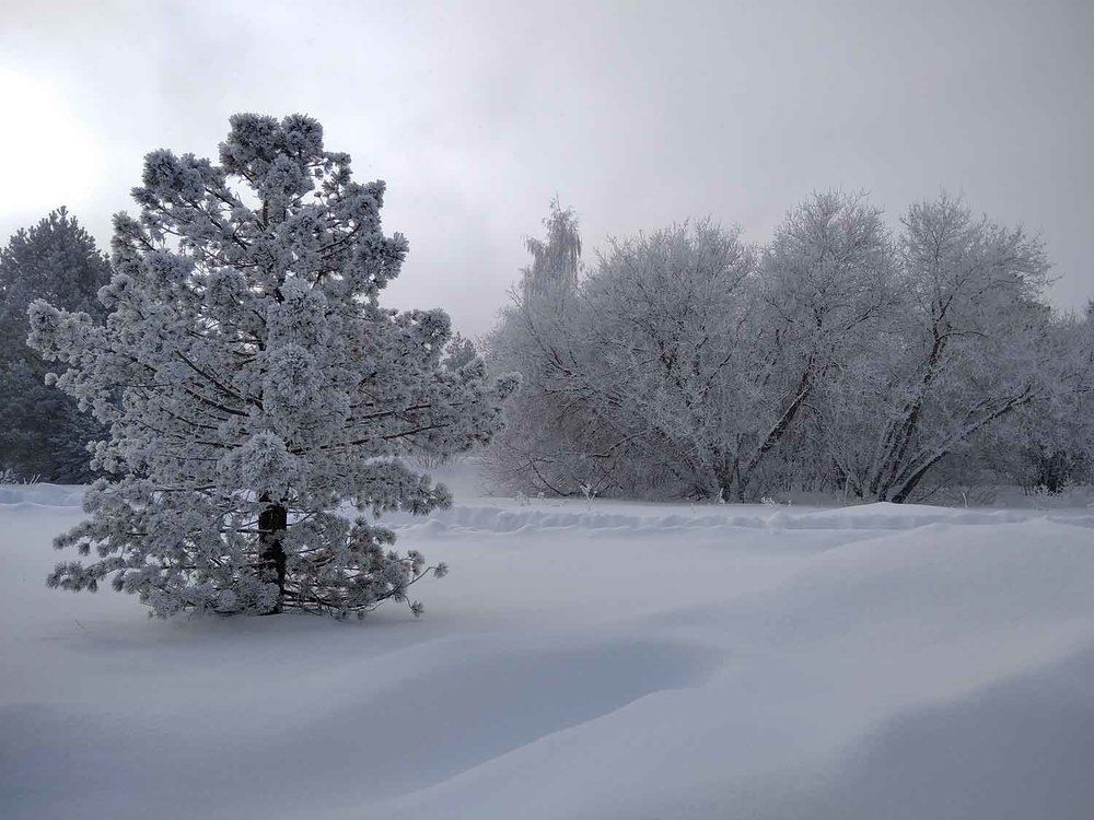 Photograph by Игорь Пшеничников