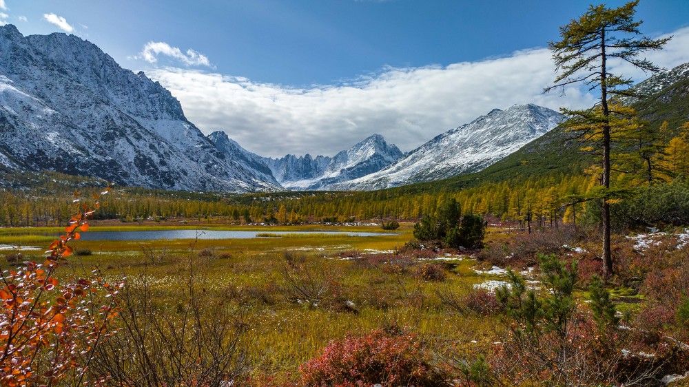 Фотография автора Александр Довганюк