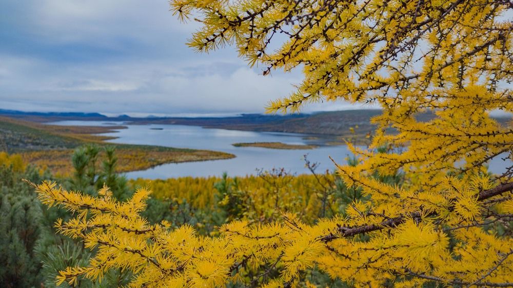 Фотография автора Александр Довганюк