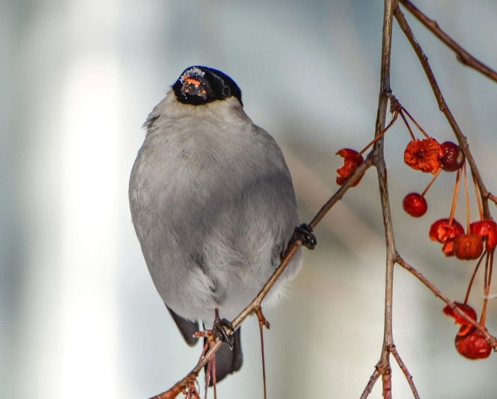 Photograph by Анжелика Трошина