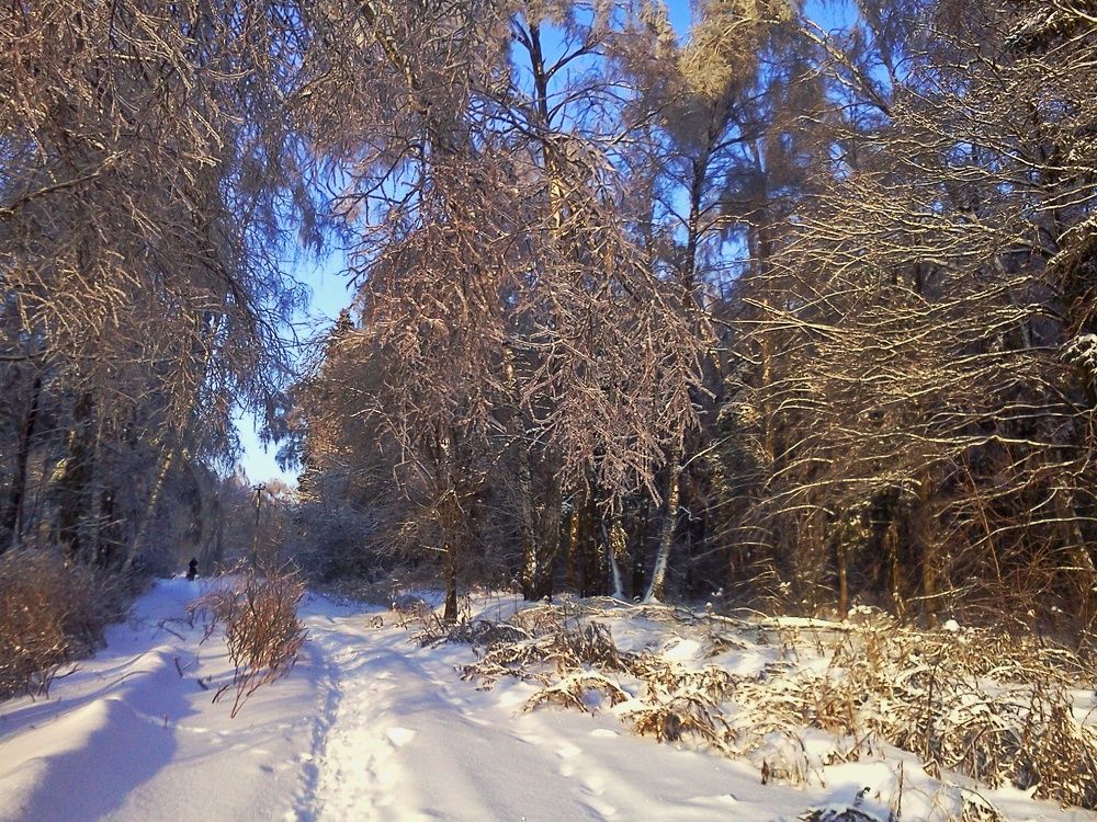 Photograph by Людмила Липаткина