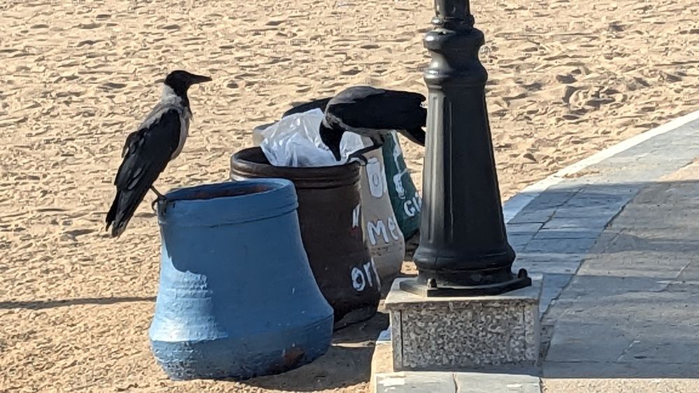 Photograph by Lilit Petrosyan