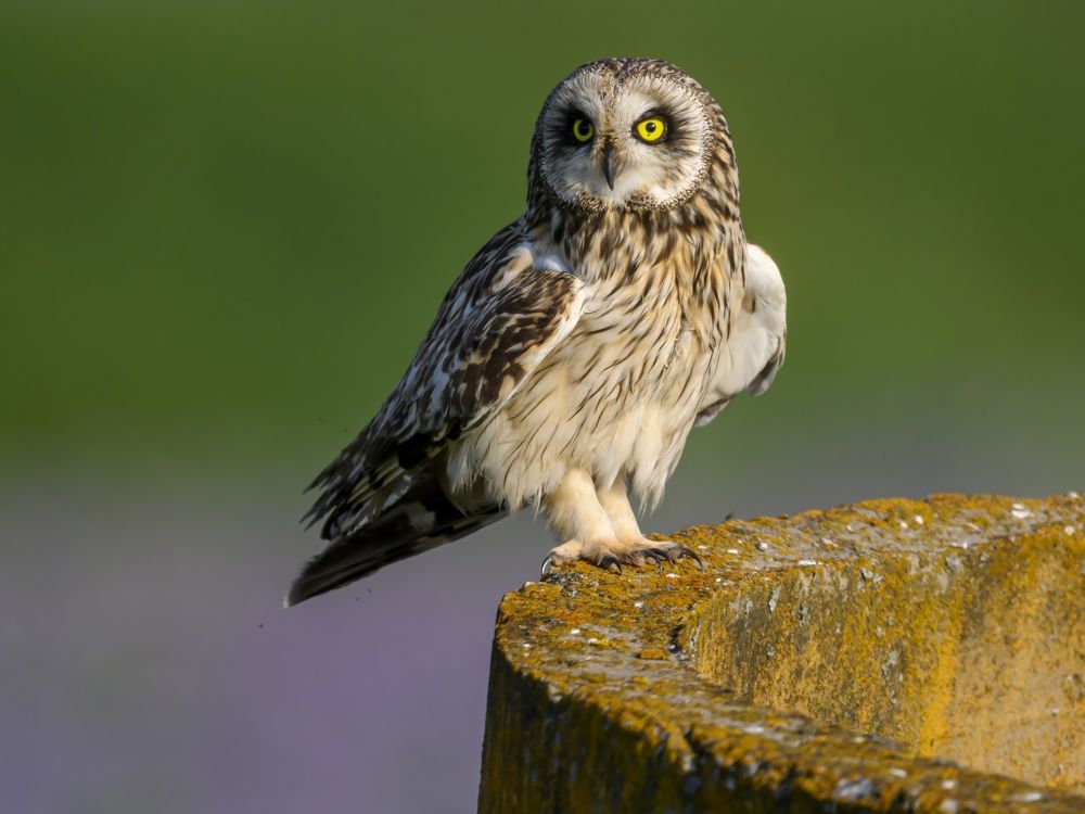 Photograph by Пупонин Сергей