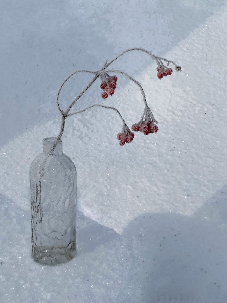 Photograph by Nadezda Yablokova