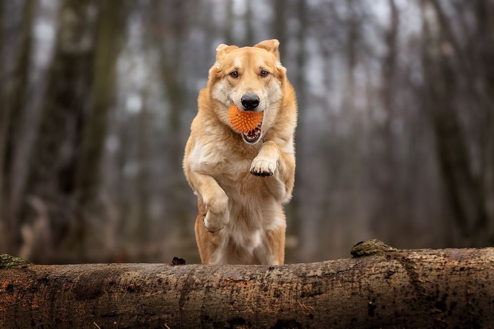 Photograph by Елена Самусенкова