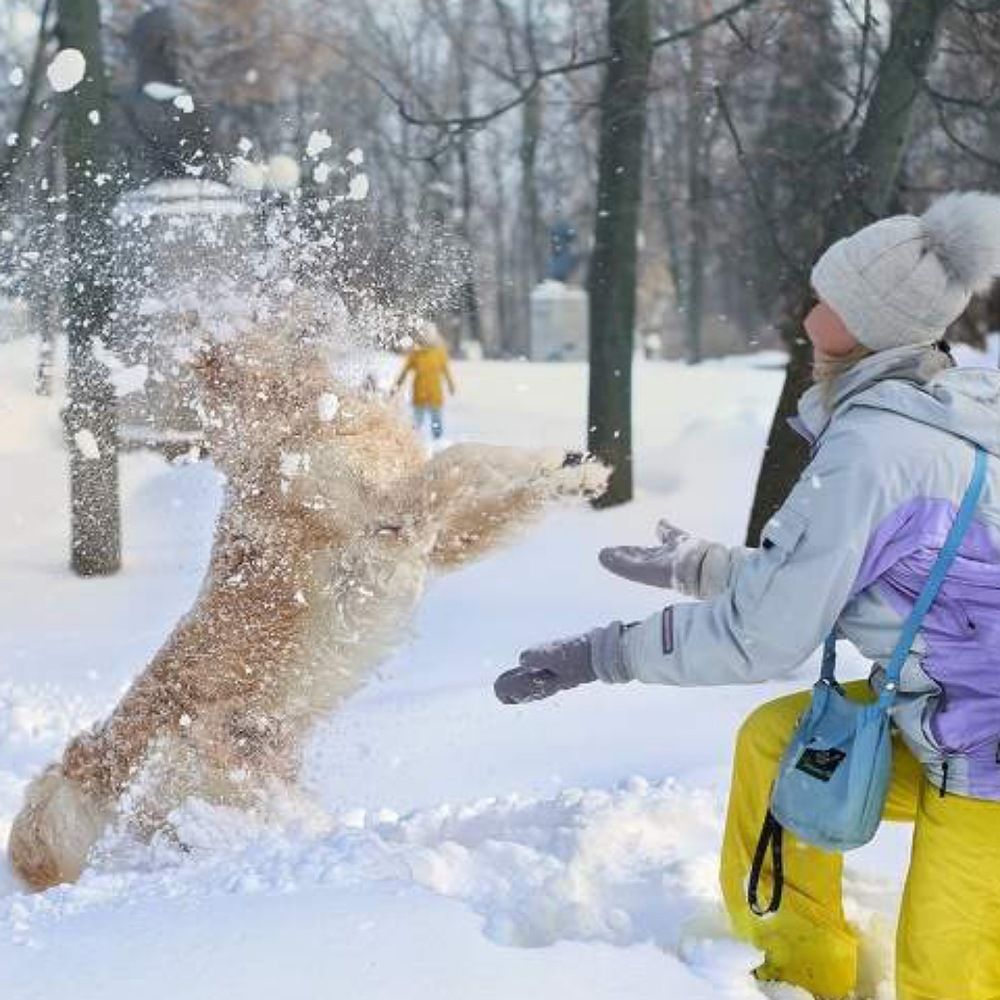 Photograph by Алсу Хусаинова