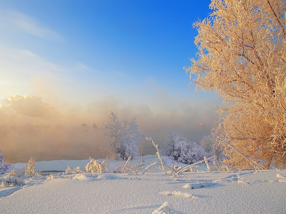 Там, за туманом...