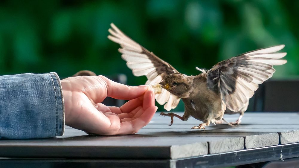 Photograph by Khazov Artem