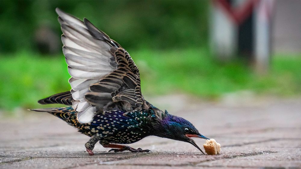 Фотография автора Khazov Artem