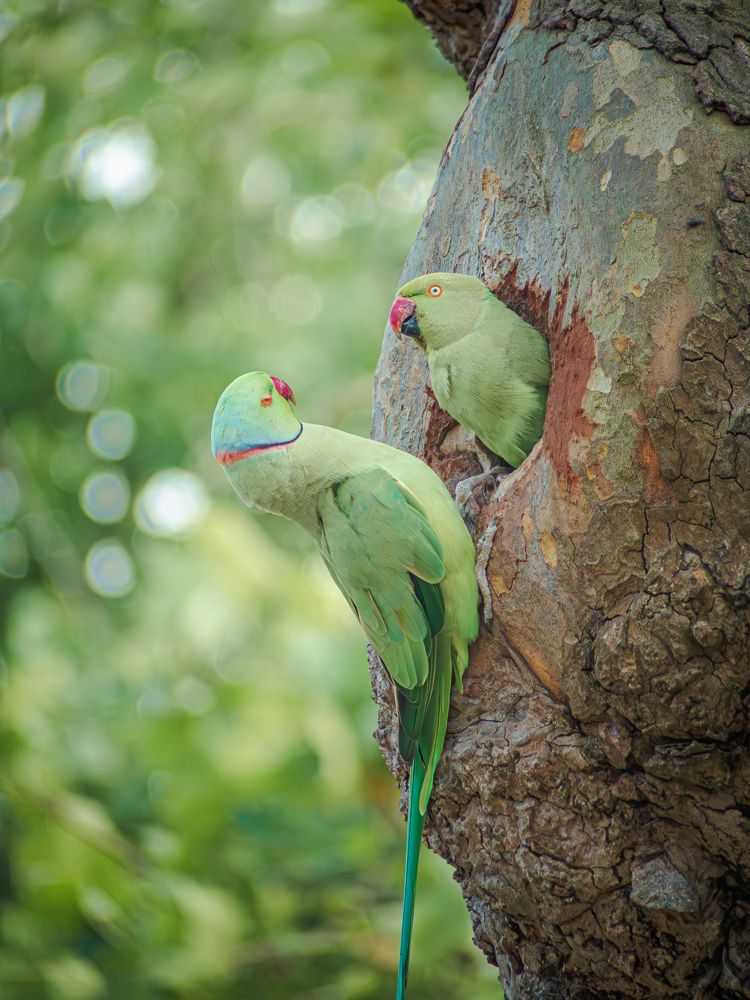 Photograph by Ирина Протченко