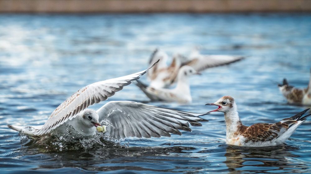 Photograph by Khazov Artem