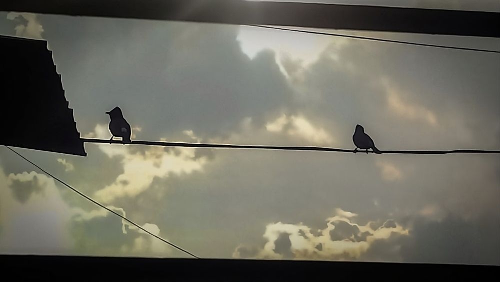 Photograph by Ambewadikar sourabh