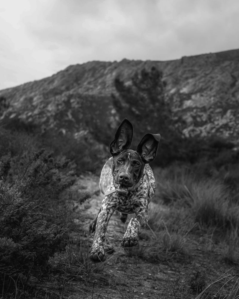 Photograph by Alexandra Sergeeva