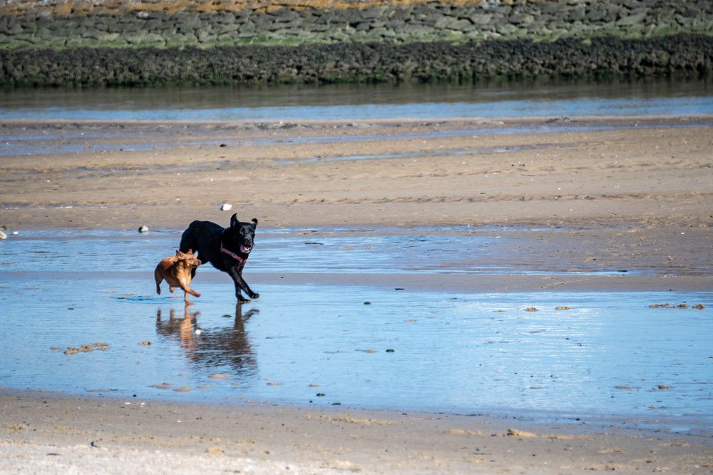 Photograph by Ana Morais