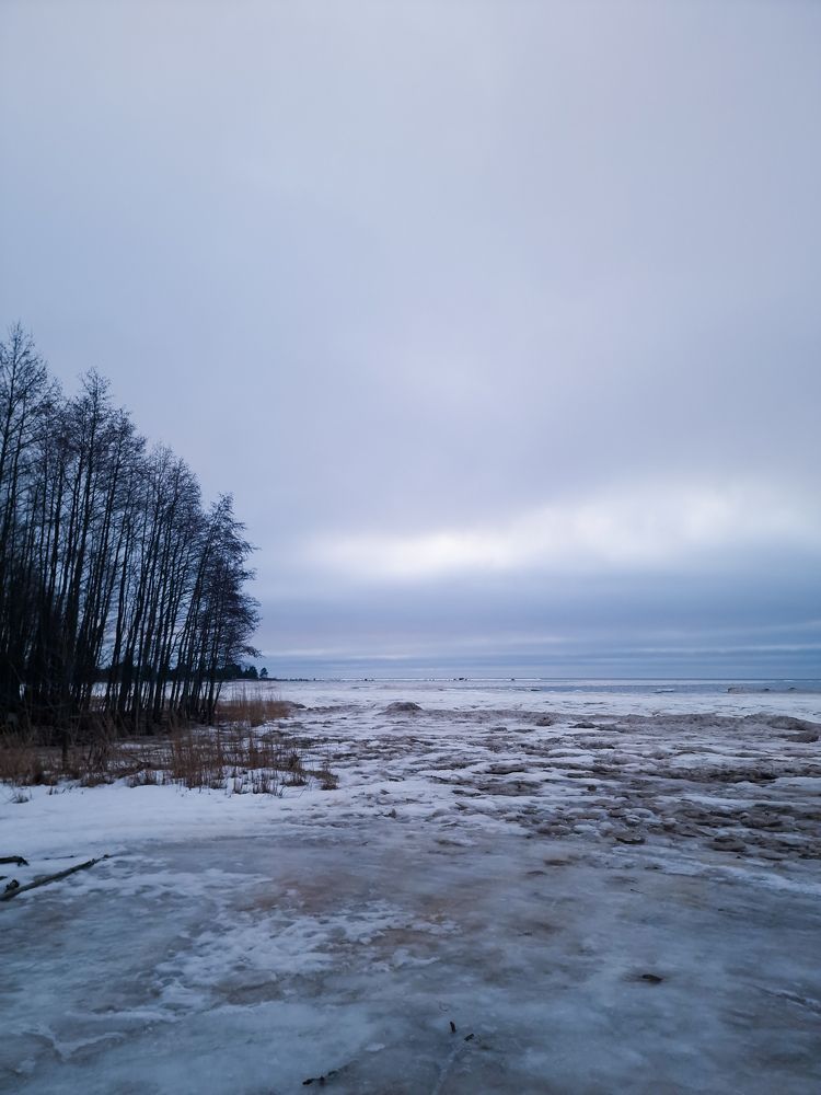 Photograph by Светлана Гордиенко