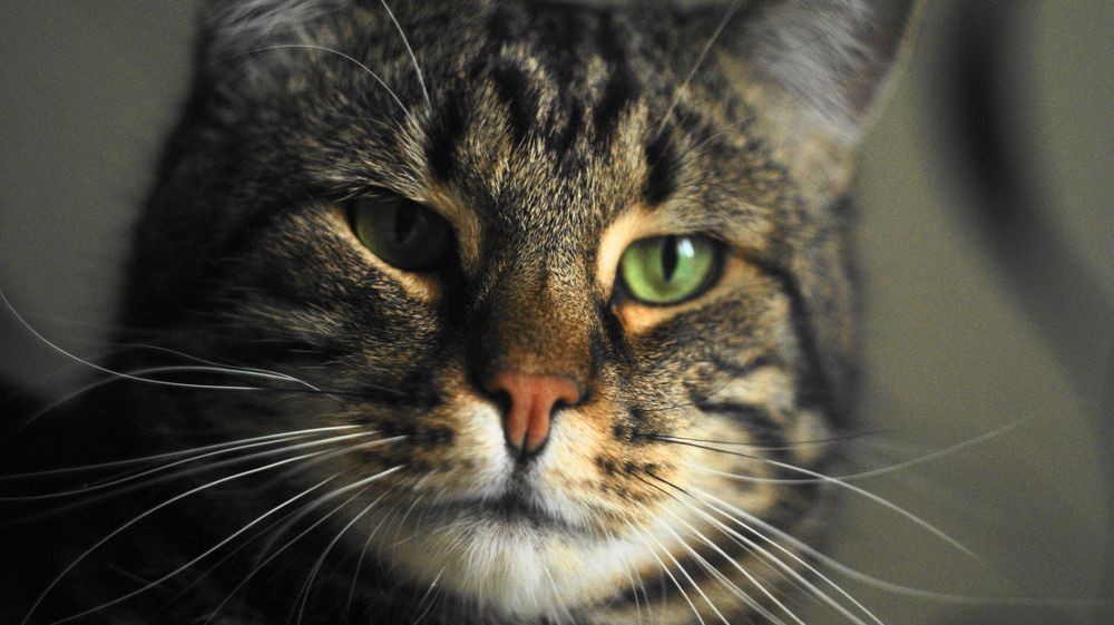 Photograph by Михаил Жуковский