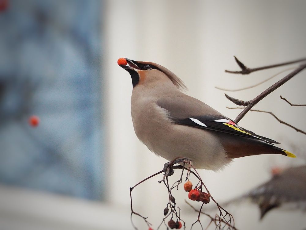 Photograph by Елена Синицына