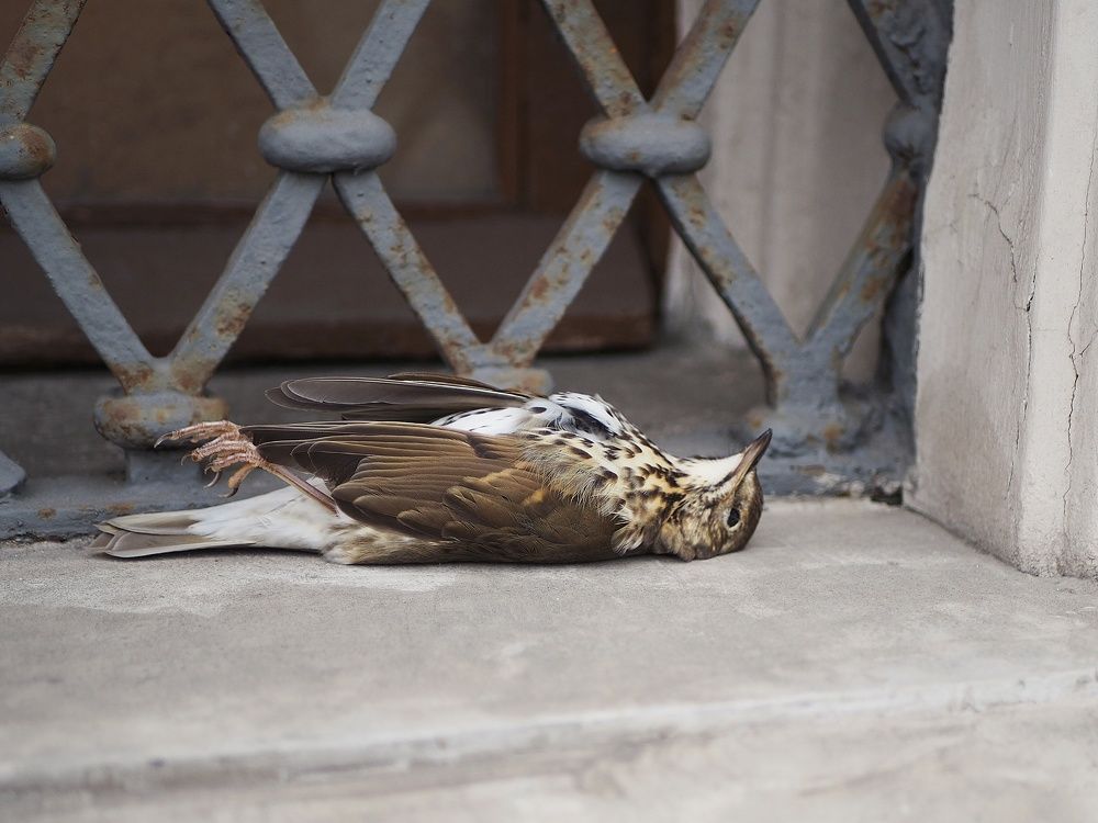 Photograph by Елена Синицына