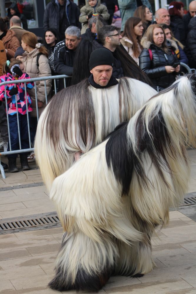Кукер - Бабугер