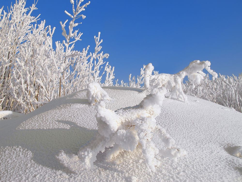 Снежные зверушки