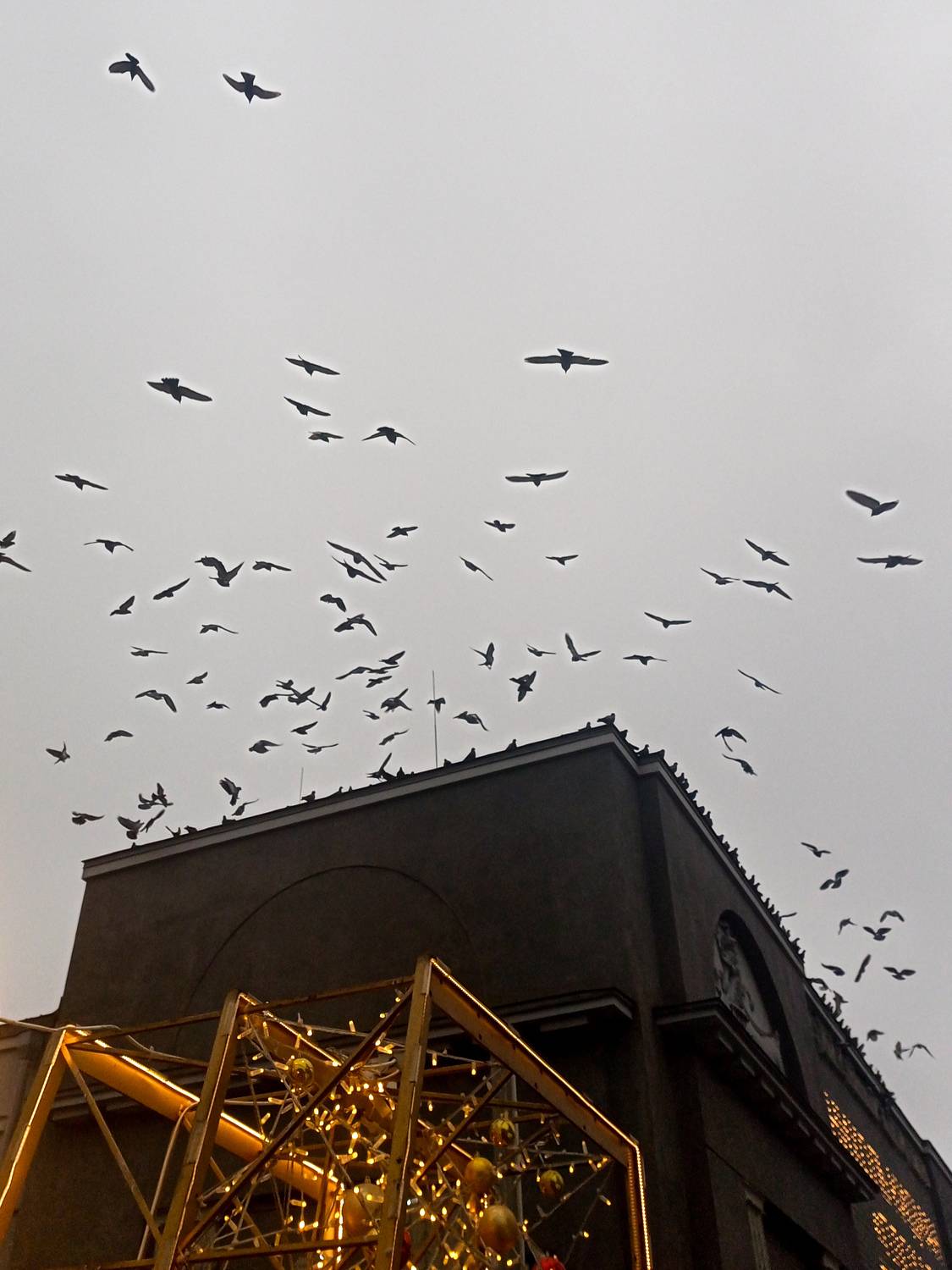 Photo #11762517