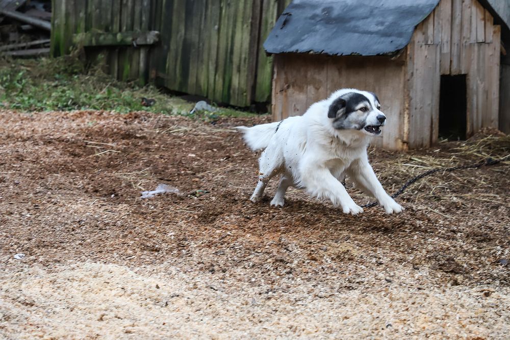 Photograph by Юлия Яковлева