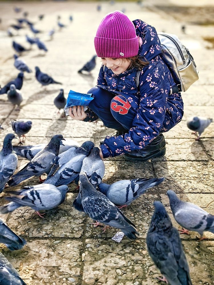 Дружба и голуби