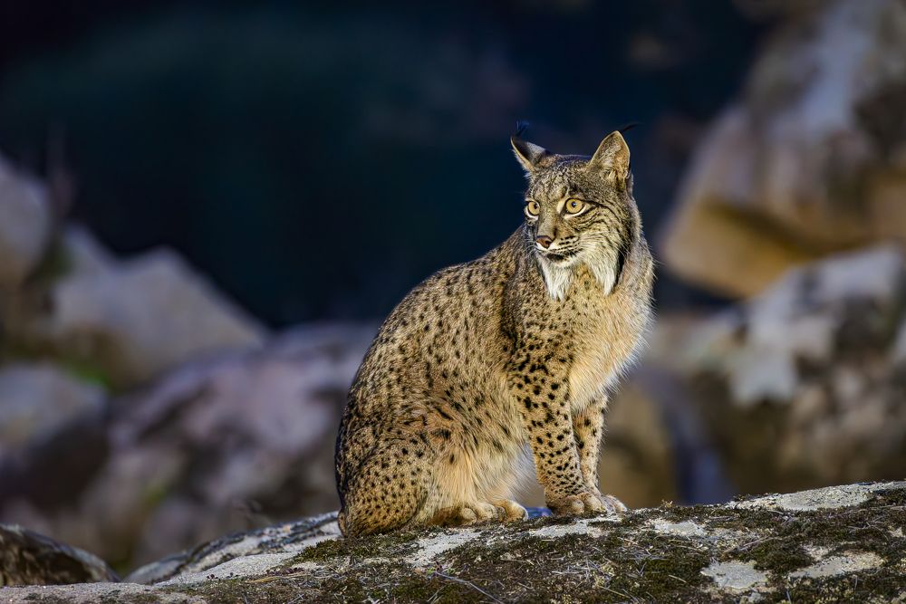 Фотография автора Paolo Barbarini