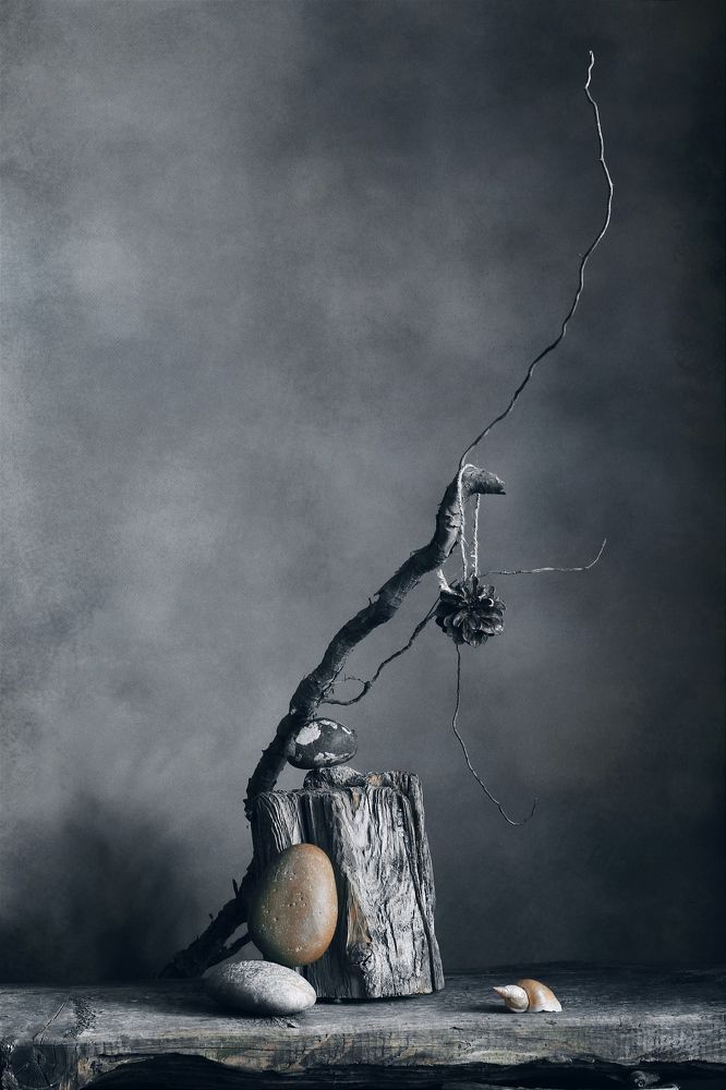 Photograph by Евсеева Валентина