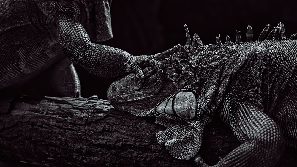 Фотография автора Nam Phạm