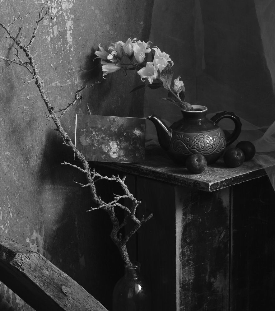 Photograph by Евсеева Валентина