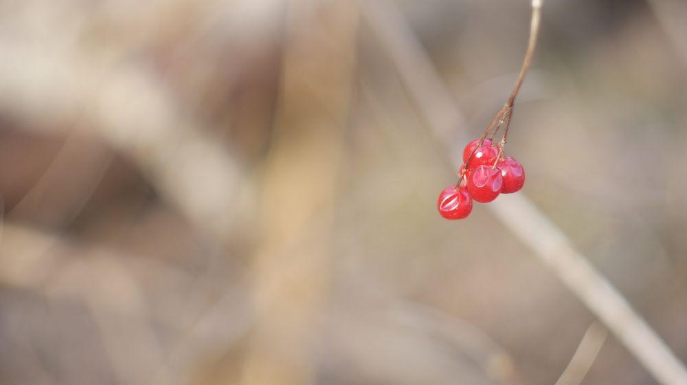 Photograph by Михаил Жуковский