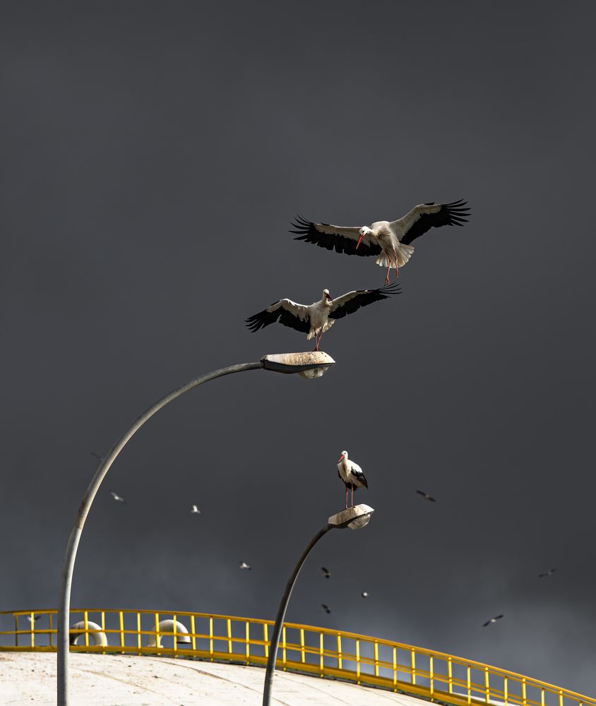 Фотография автора Paolo Barbarini