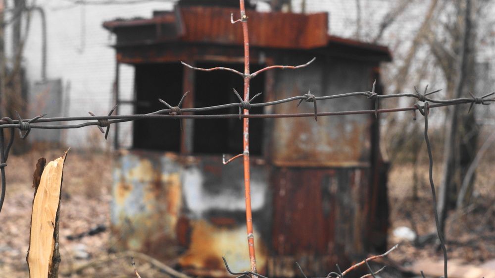 Photograph by Михаил Жуковский