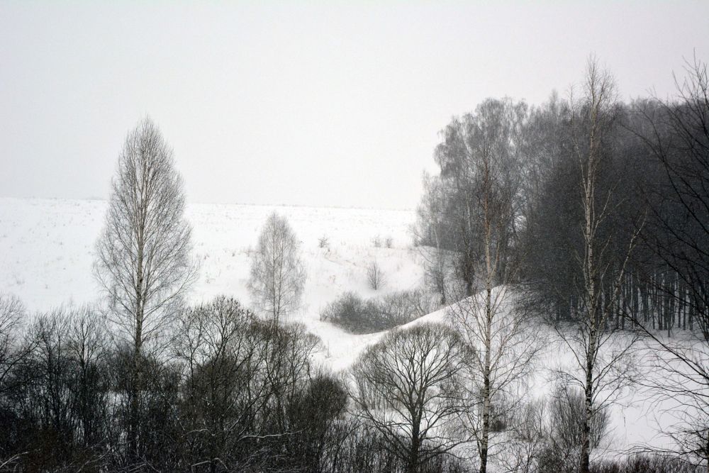 Photograph by Onyx X