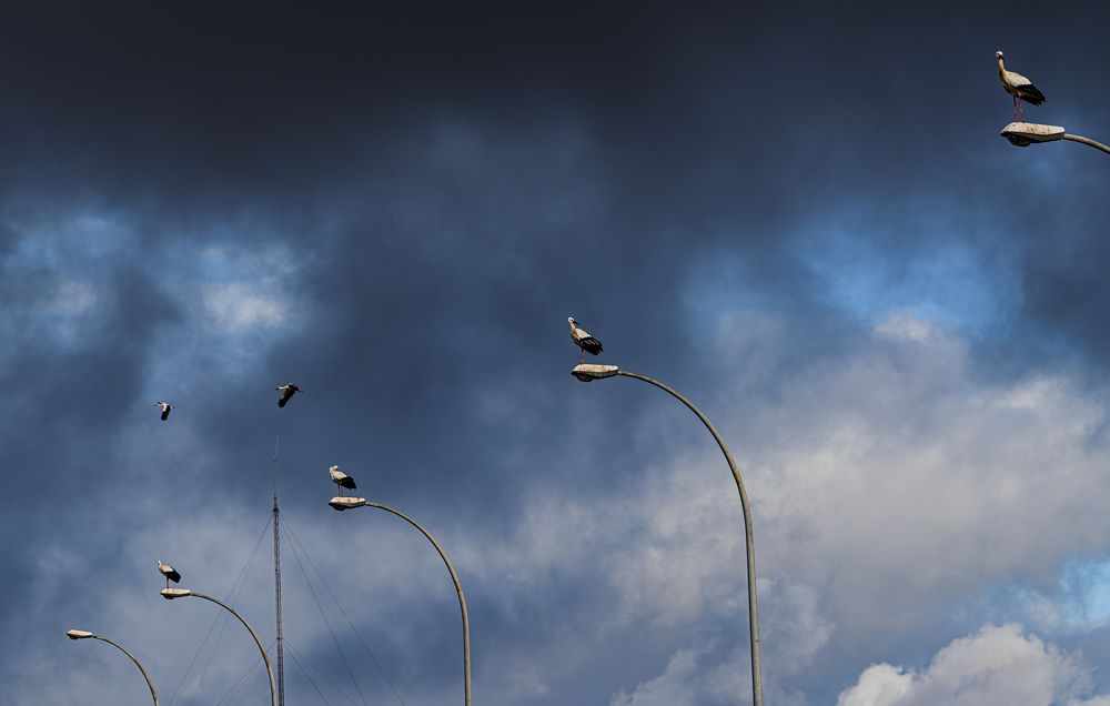 Фотография автора Paolo Barbarini