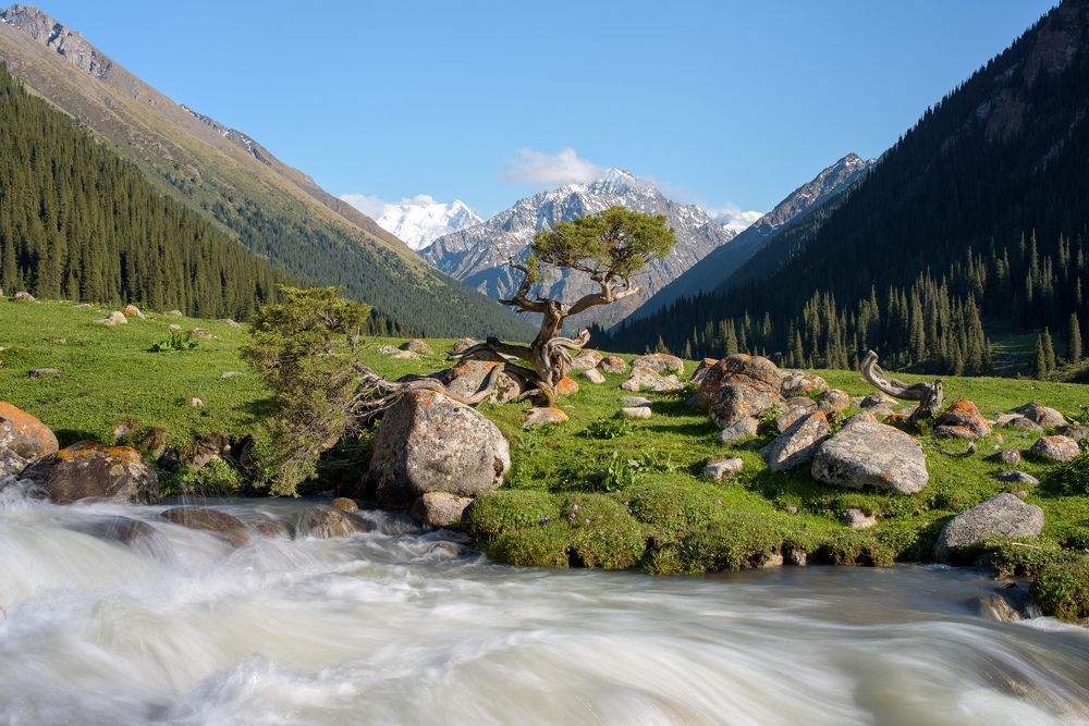 Photograph by Леонид Синев