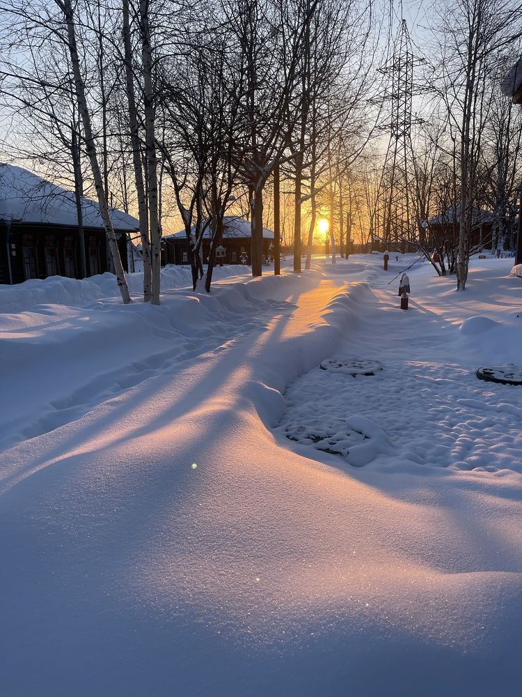 Photograph by Inna Shevchenko