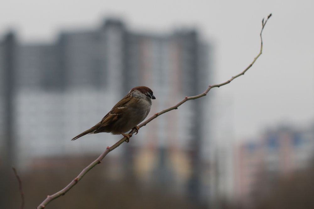 Photograph by Надежда Зайцева