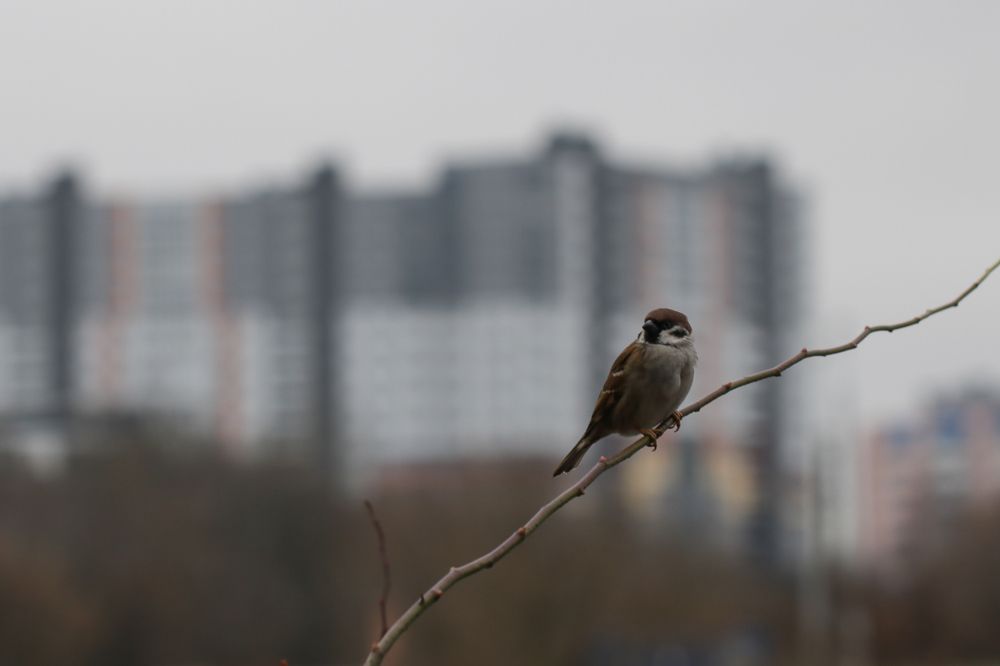 Photograph by Надежда Зайцева